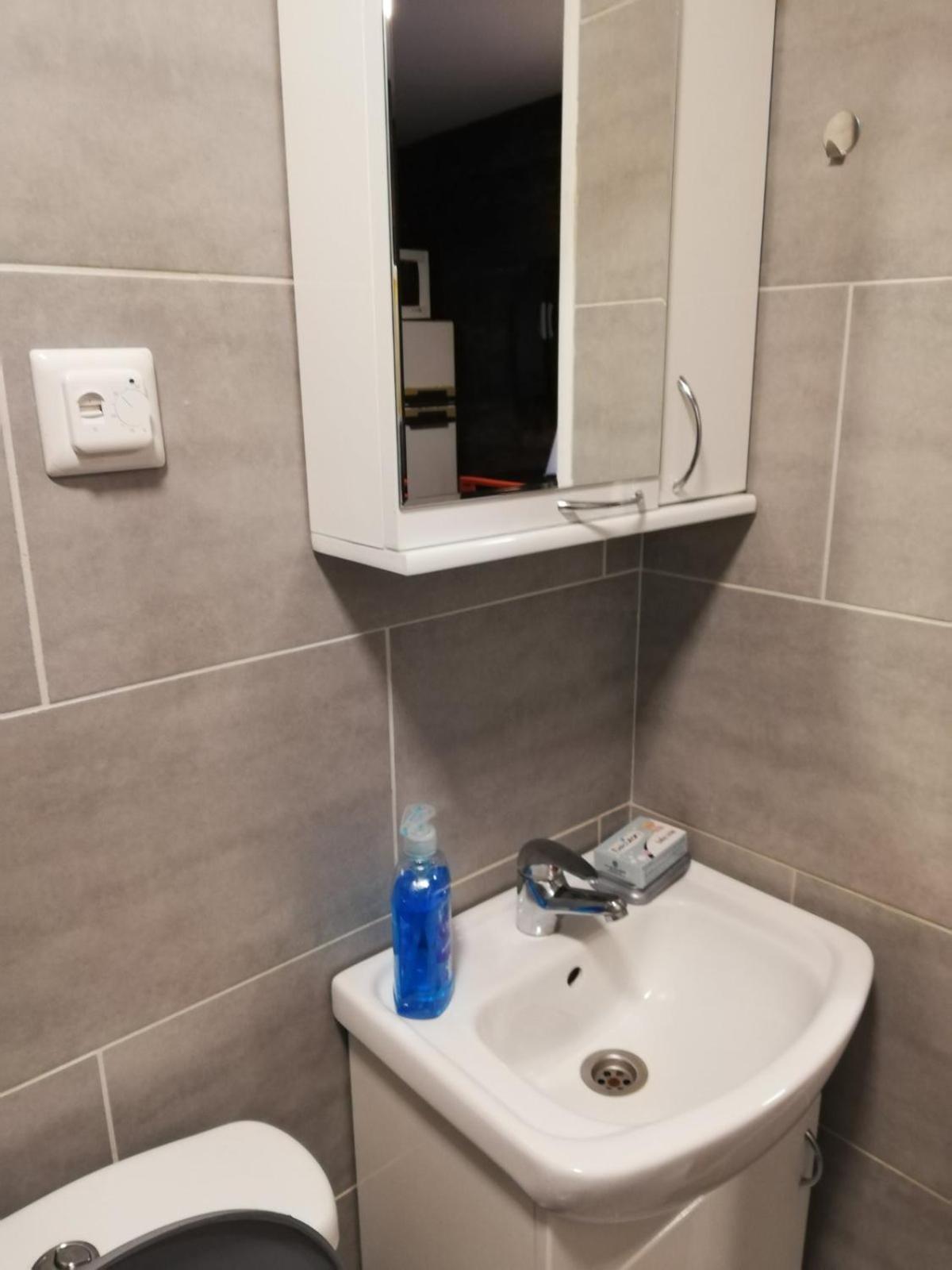 Stara Etno Kuca Radonjic Villa Guča Rom bilde
