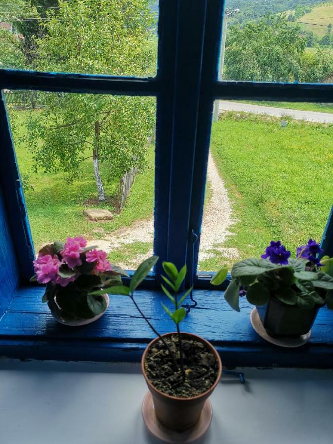 Stara Etno Kuca Radonjic Villa Guča Eksteriør bilde