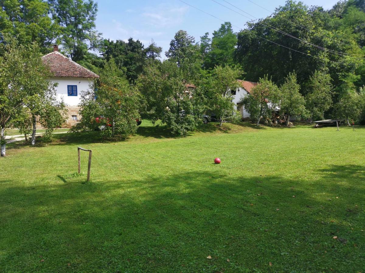 Stara Etno Kuca Radonjic Villa Guča Eksteriør bilde