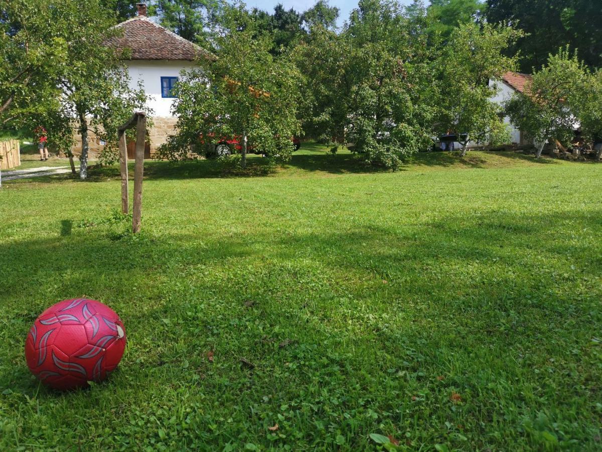 Stara Etno Kuca Radonjic Villa Guča Eksteriør bilde