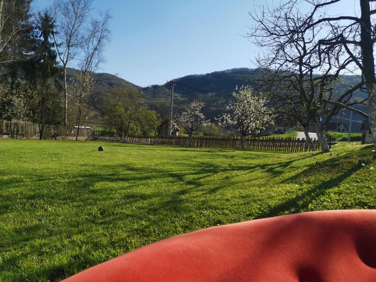 Stara Etno Kuca Radonjic Villa Guča Eksteriør bilde